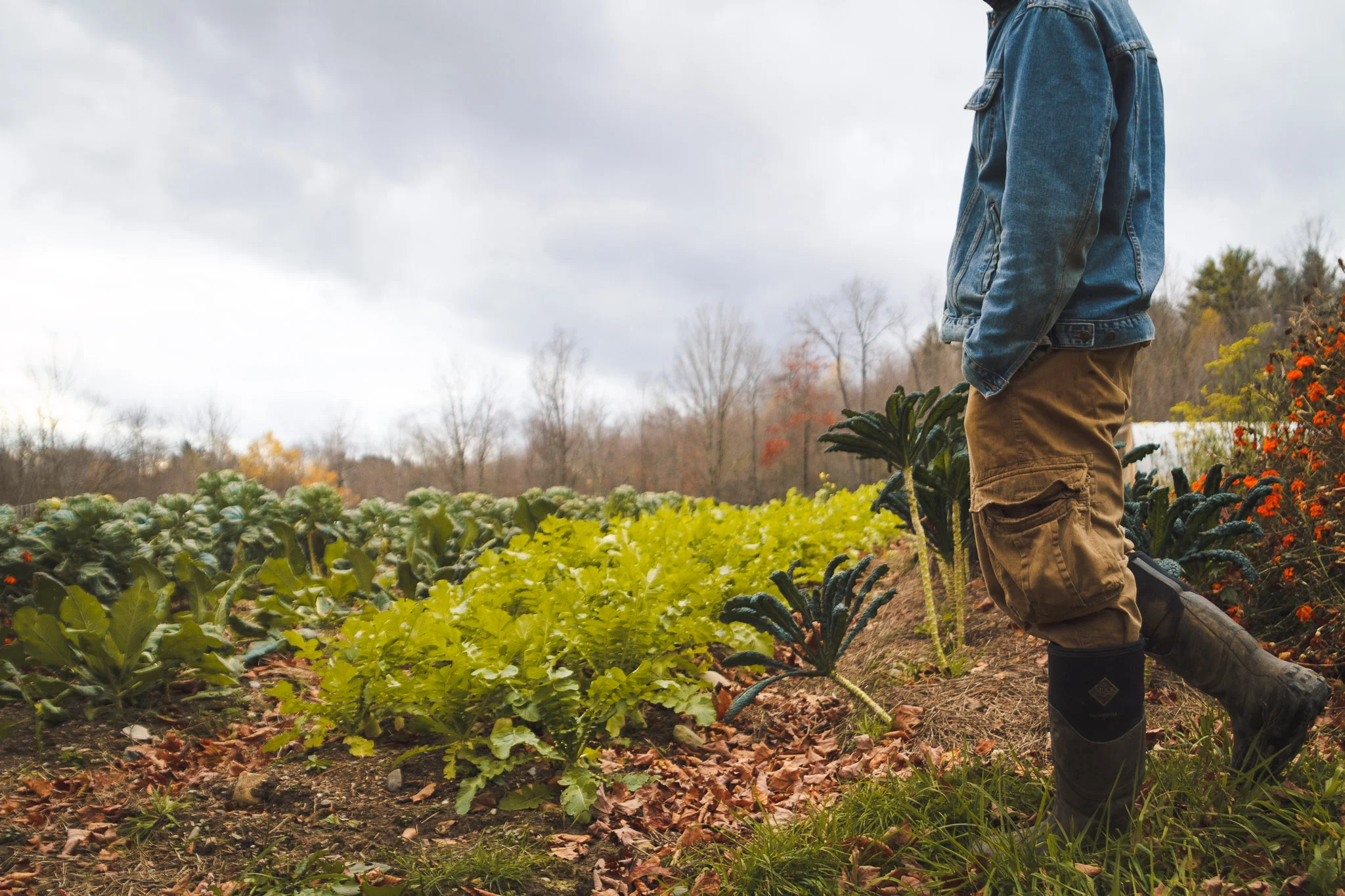 soul_fire_farms_lesleyade_photography-28.jpg