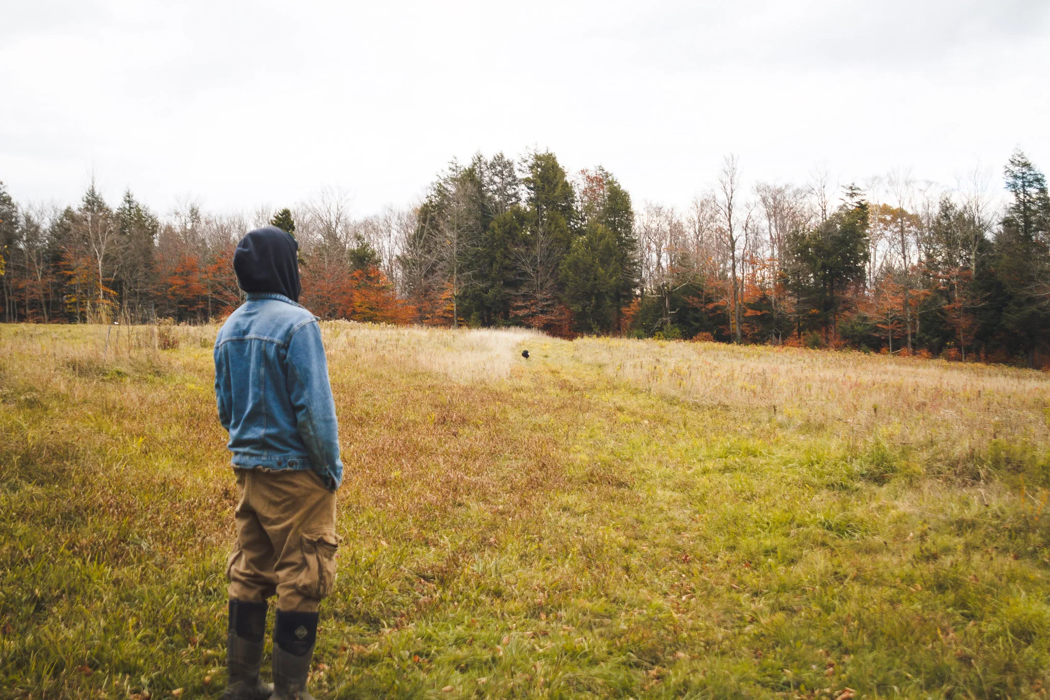 soul_fire_farms_lesleyade_photography-30.jpg
