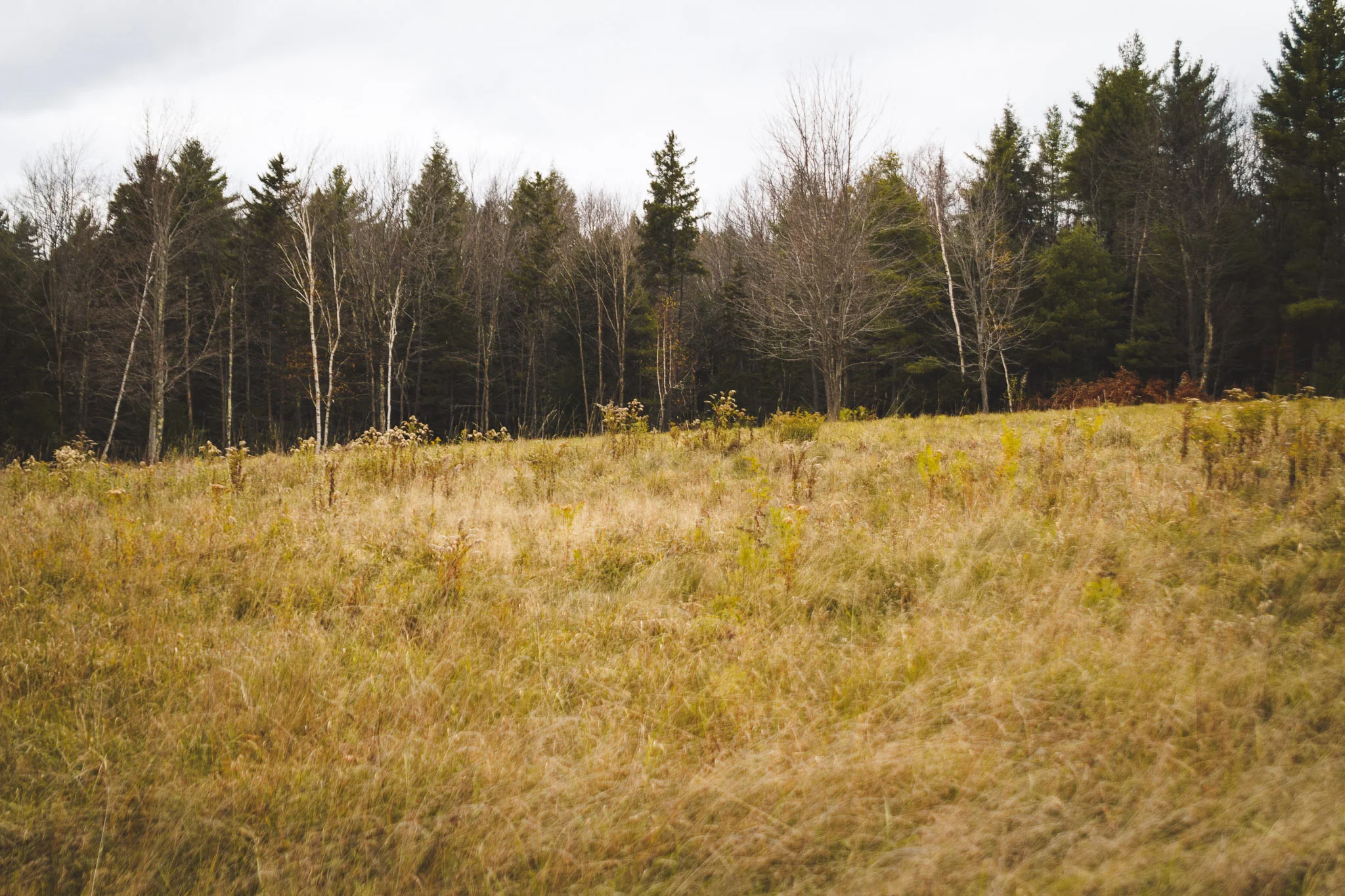 soul_fire_farms_lesleyade_photography-32.jpg