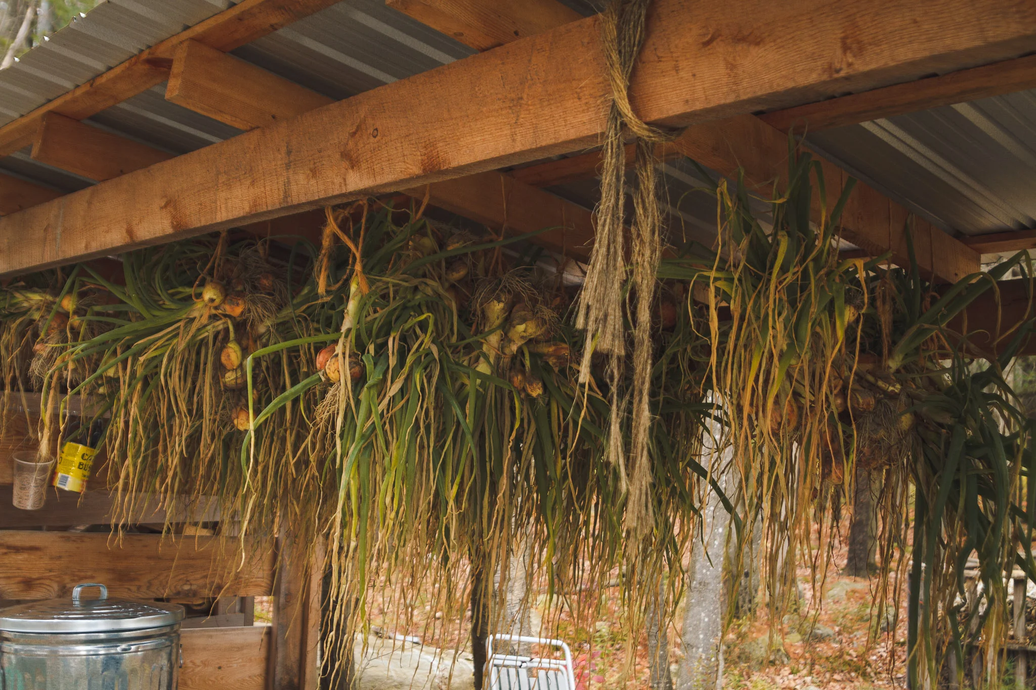 soul_fire_farms_lesleyade_photography-39.jpg
