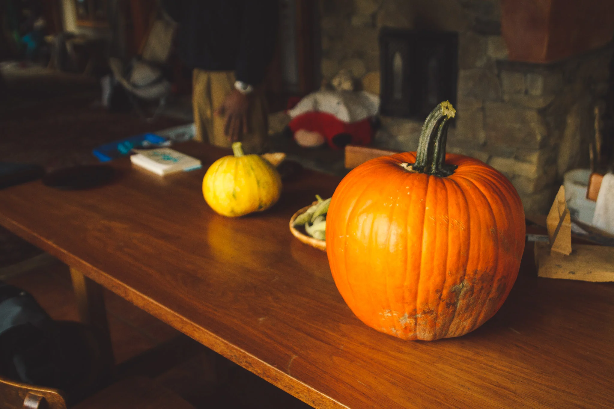 soul_fire_farms_lesleyade_photography-66.jpg