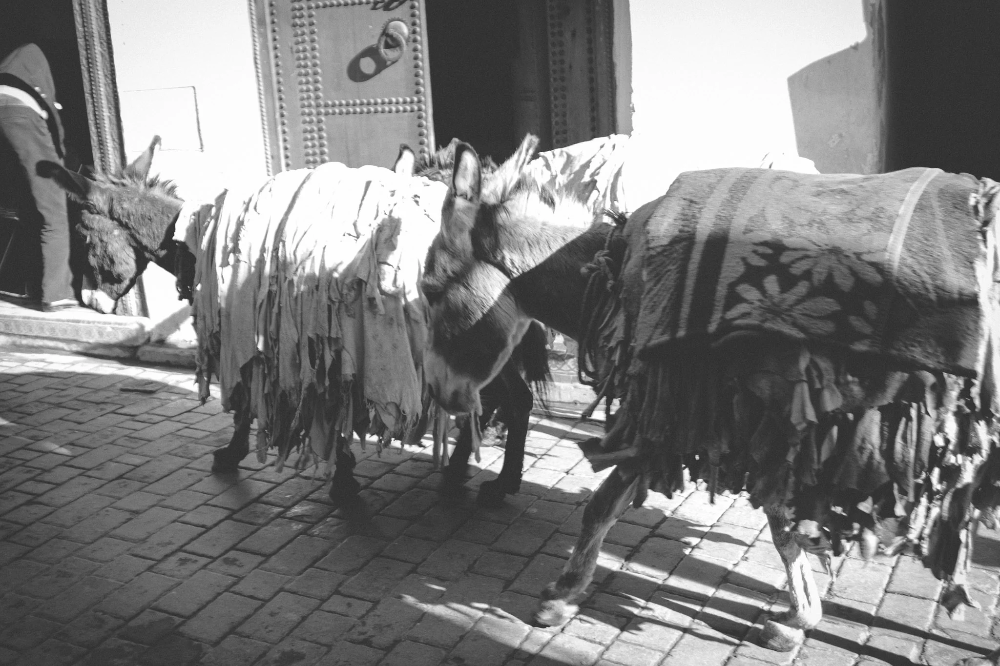 morocco_rabat_fez_casablanca_lesleyade_photography-19.jpg