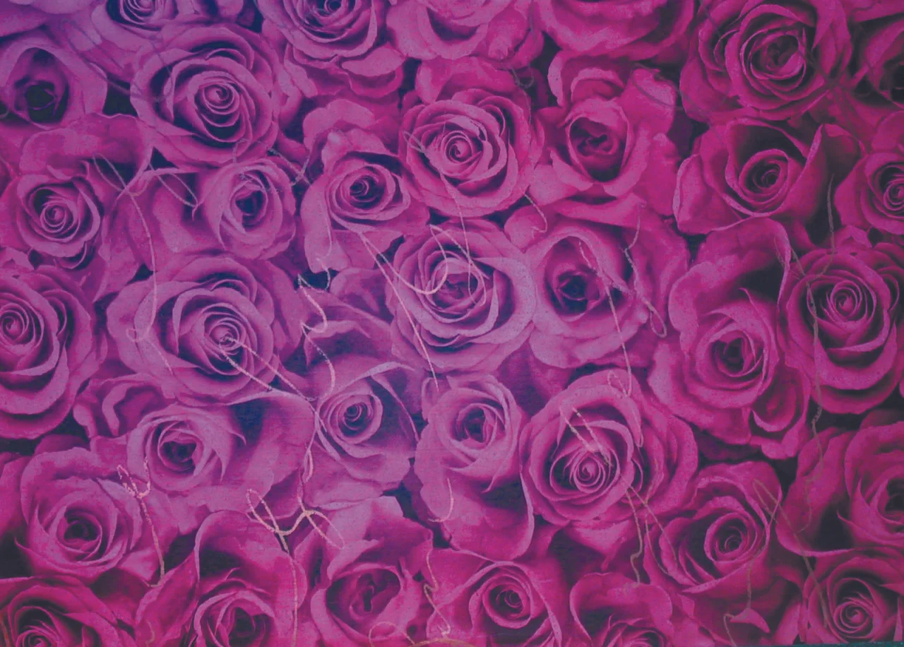 roses‭.jpg