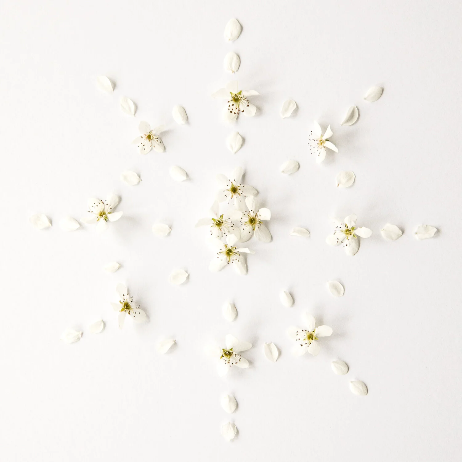 2_CALLERY_PEAR_SOLITUDE_MANDALA_083.jpg