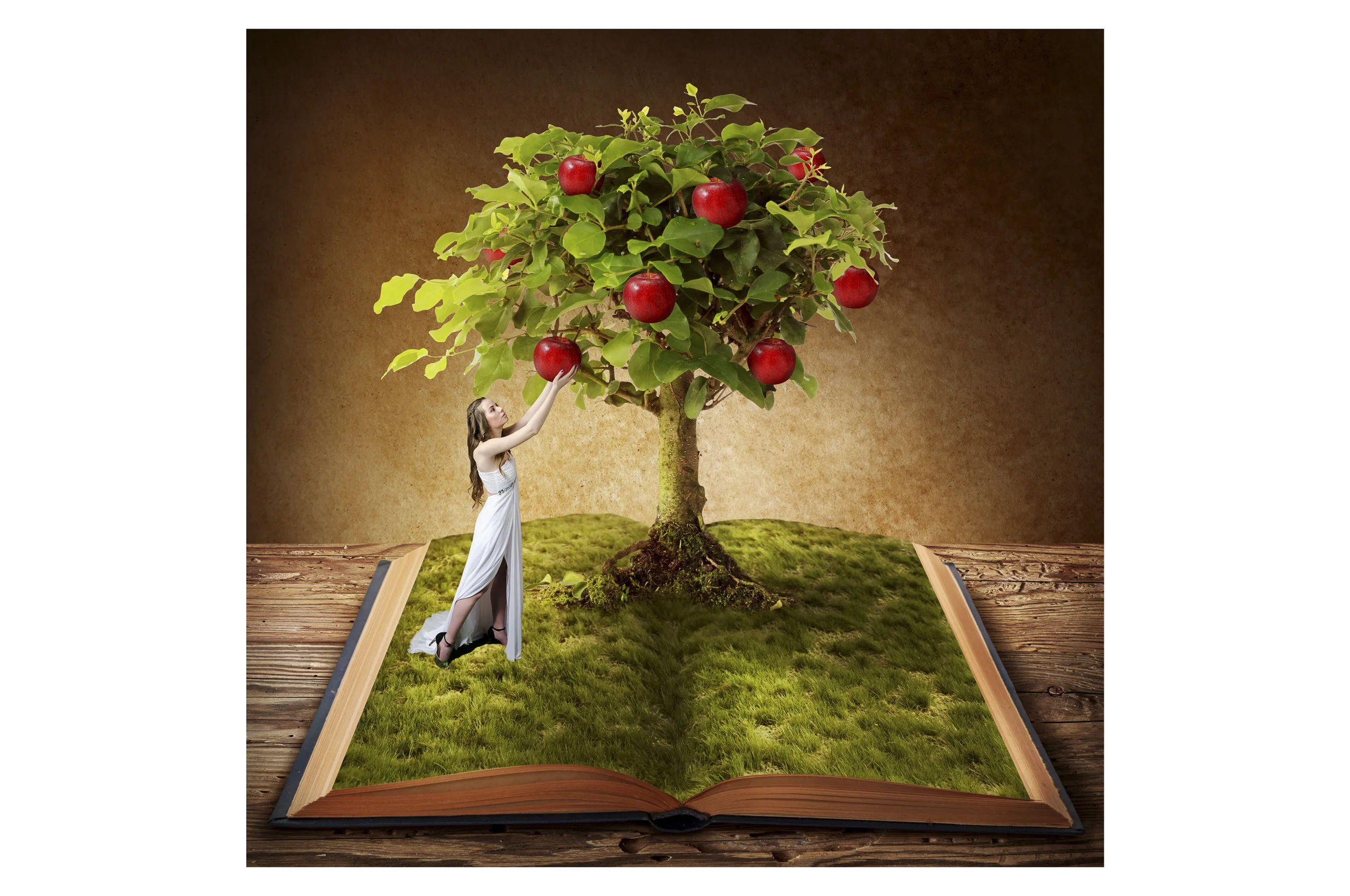 Website Project-4.jpg