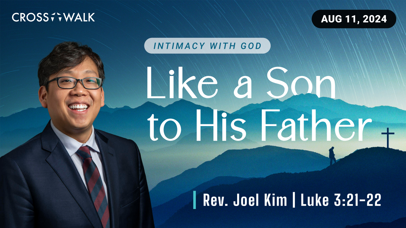 Sermon for August 11, 2024