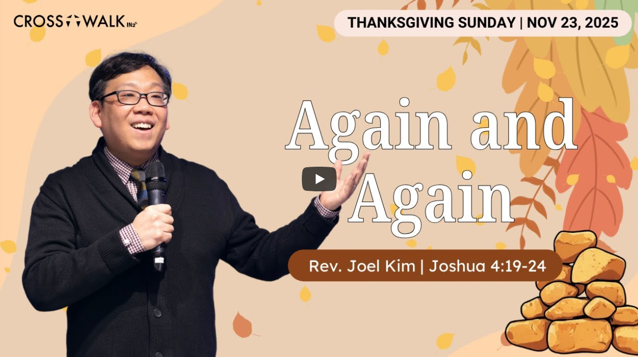 Sermon for November 23, 2025