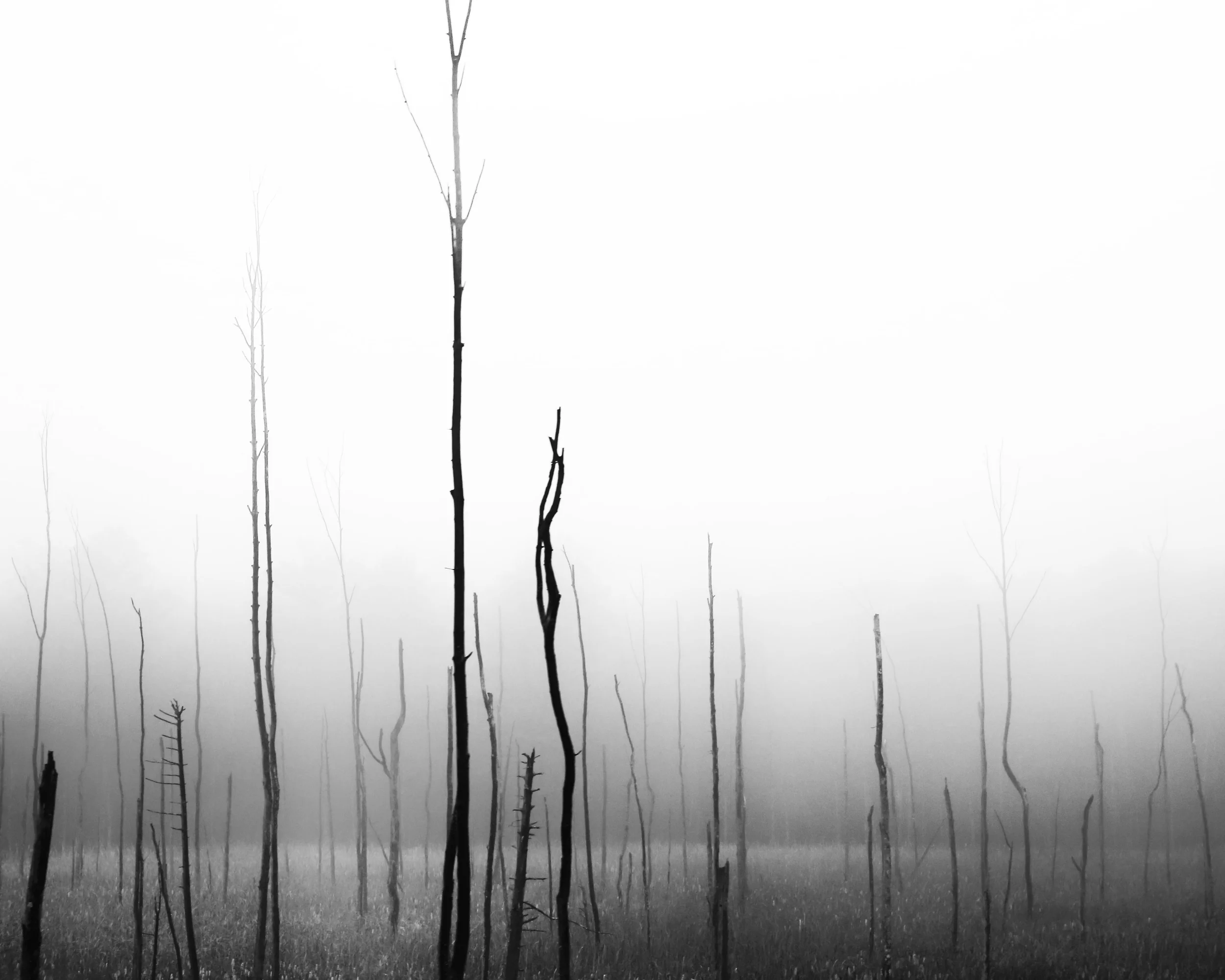 Reaching (2016)