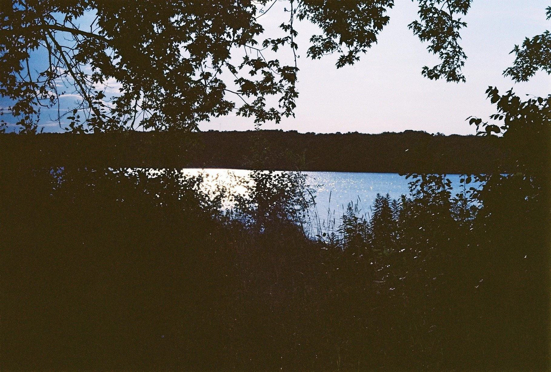 Kodak Ektar 100  (Minolta SRT 201)