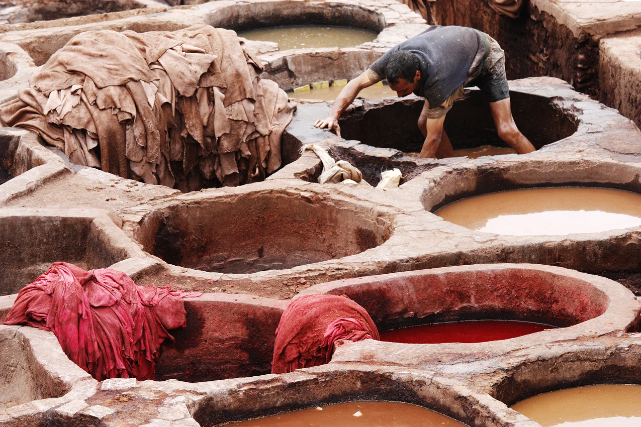  Morocco, Fes. Preparing the animals skins. 