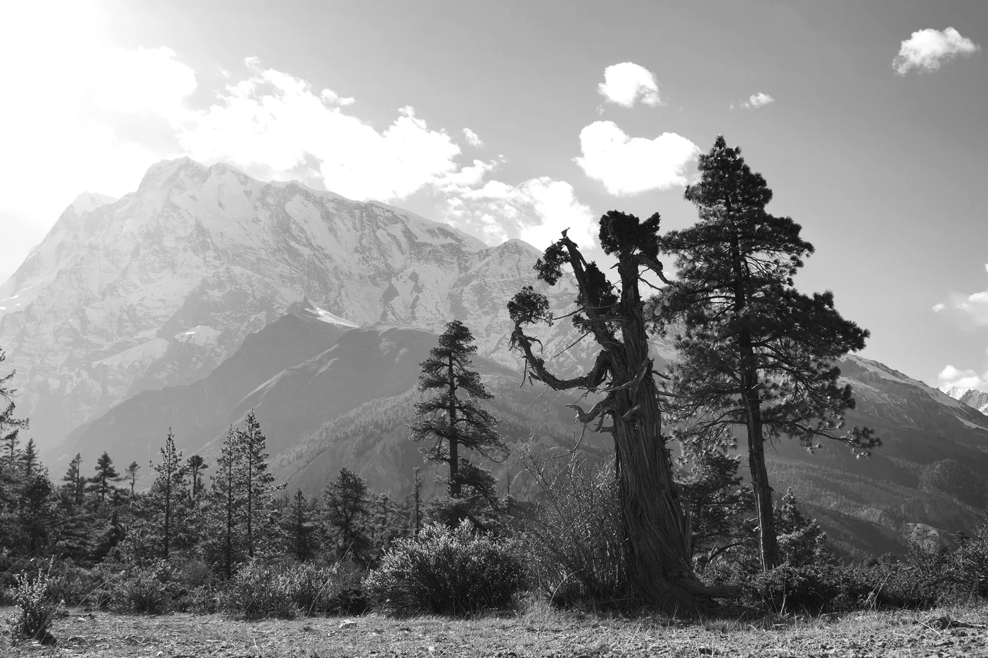  Himalaya, Nepal 