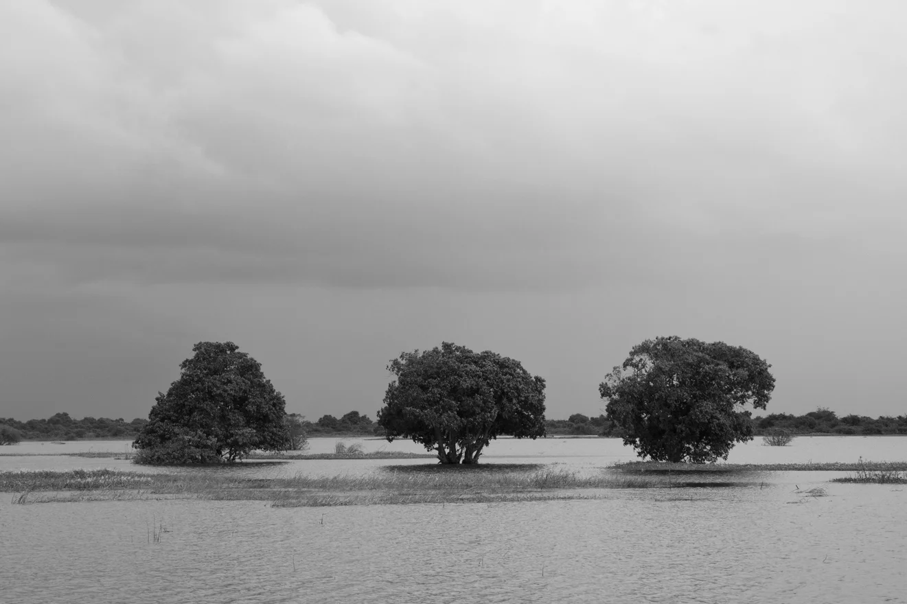  Cambodia 