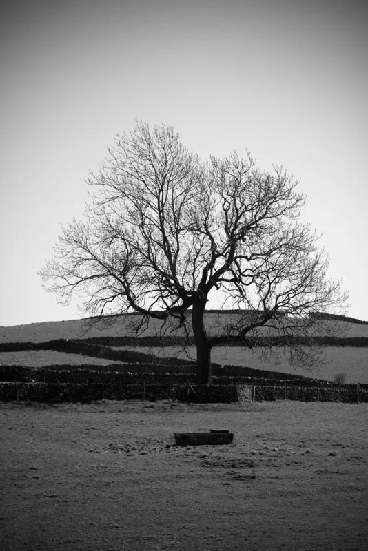  England 
