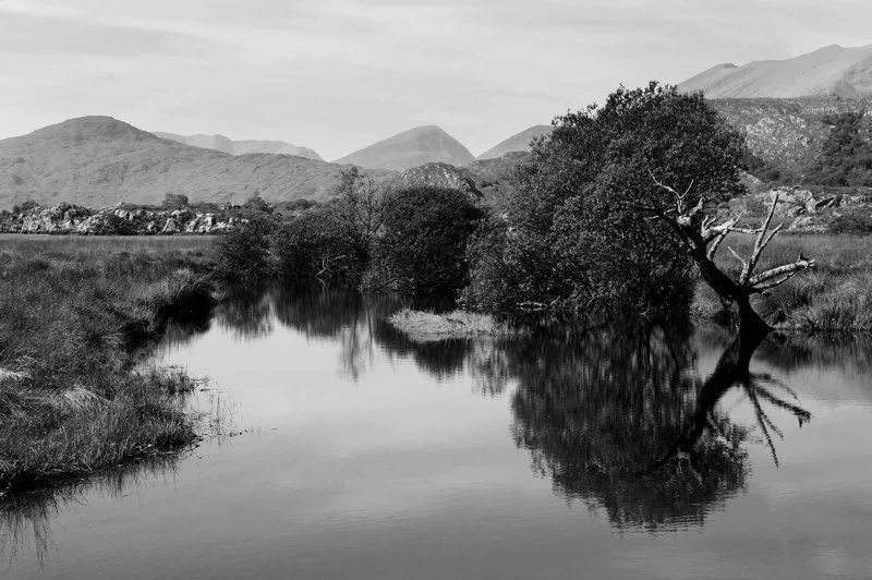  Ireland 