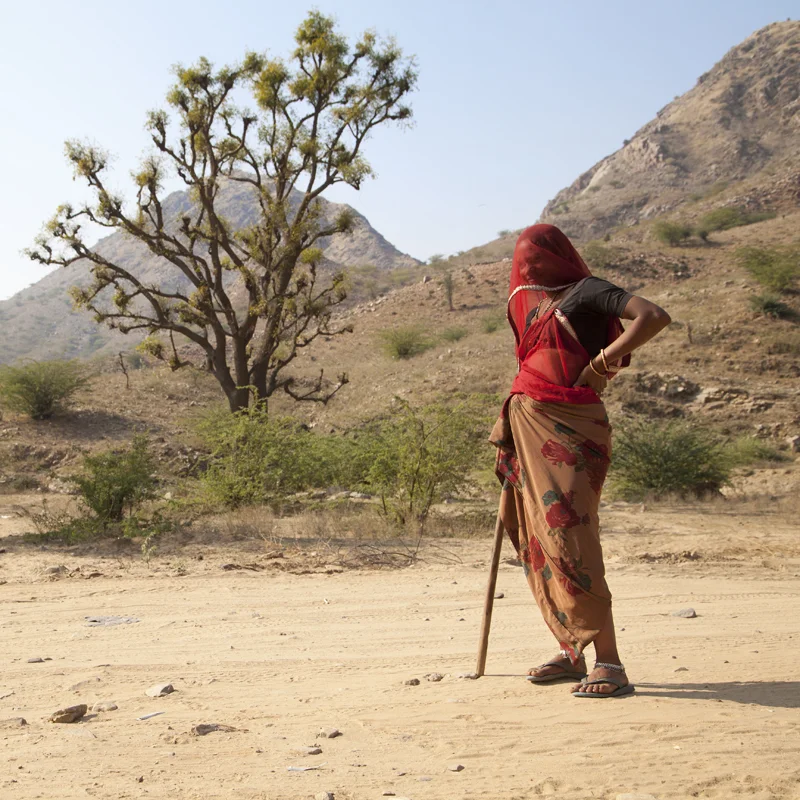  India, Rajasthan 