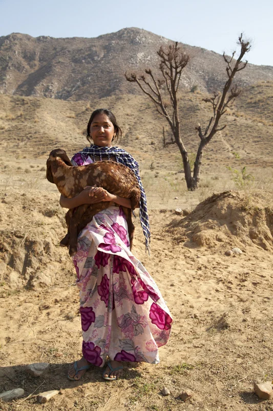  India, Rajasthan 