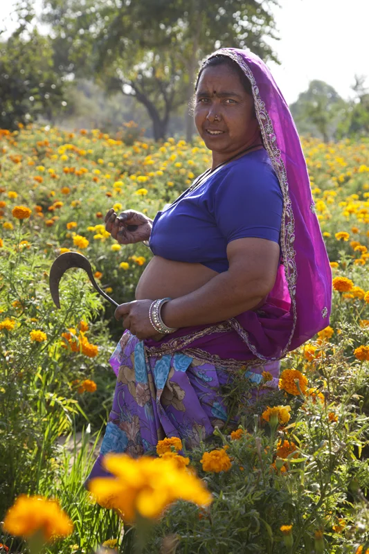  India, Rajasthan 