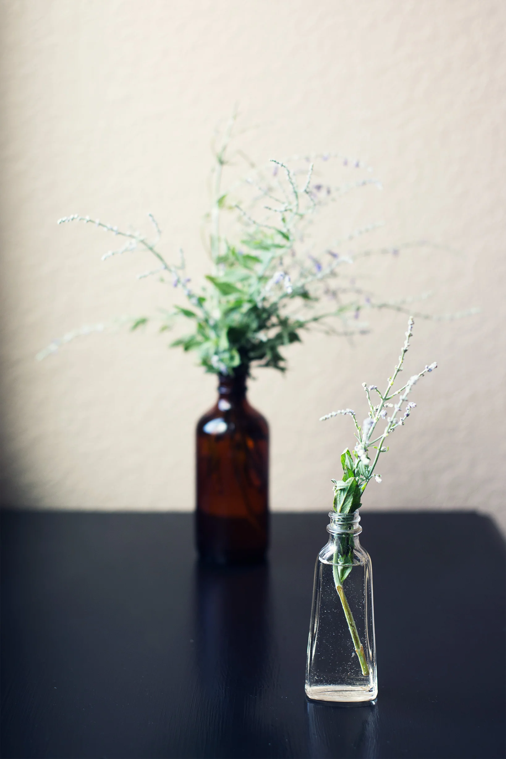 Russian Sage