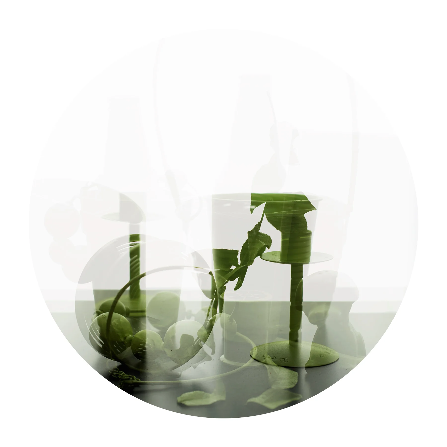 Green Still Life 1