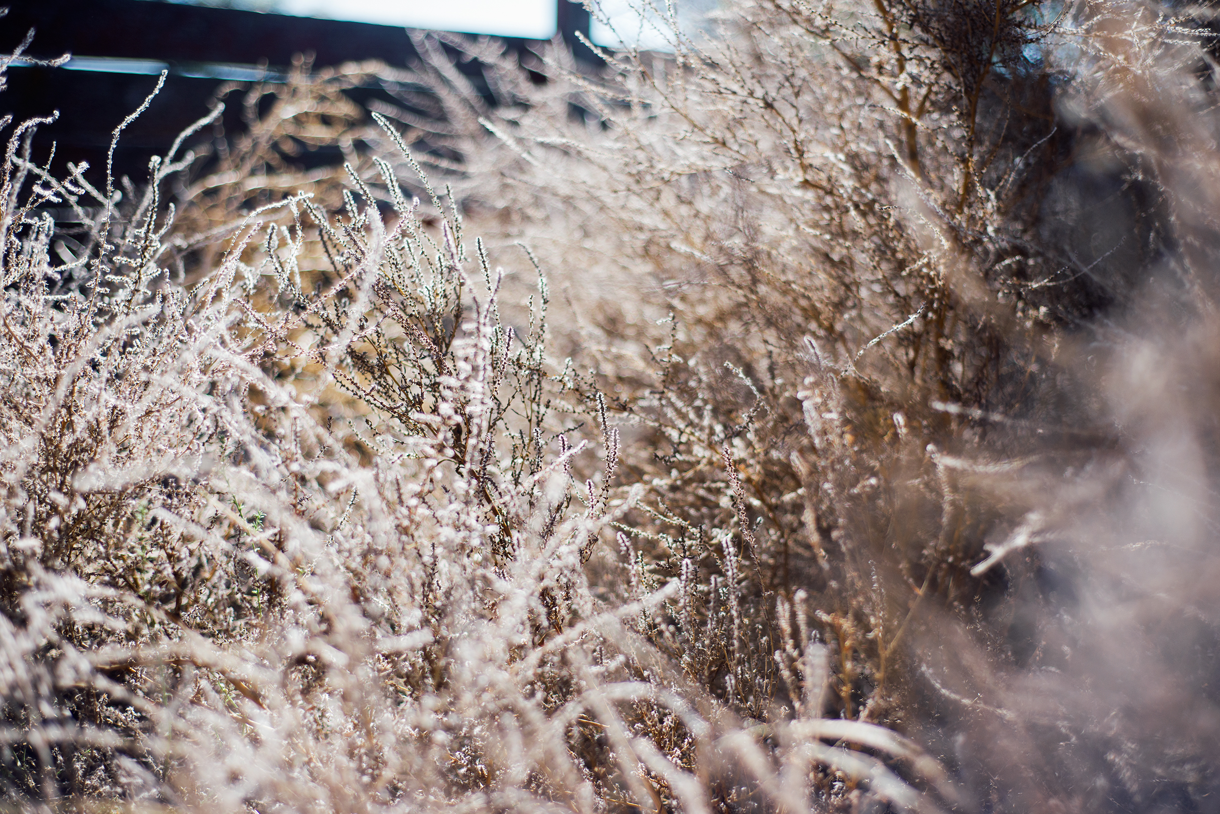 Texture And Light
