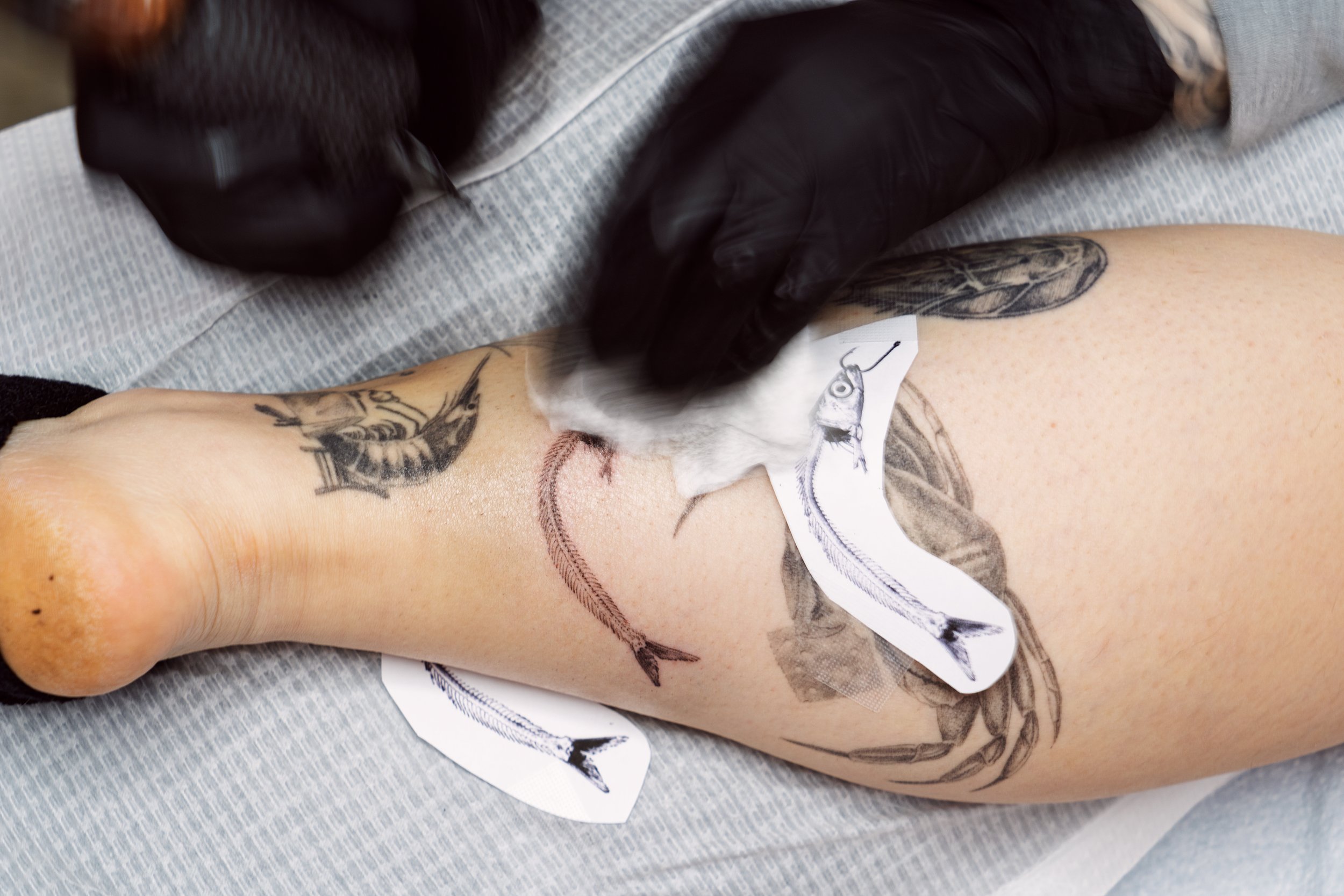 A hand with black gloves wipes off ink while tattooing a leg.