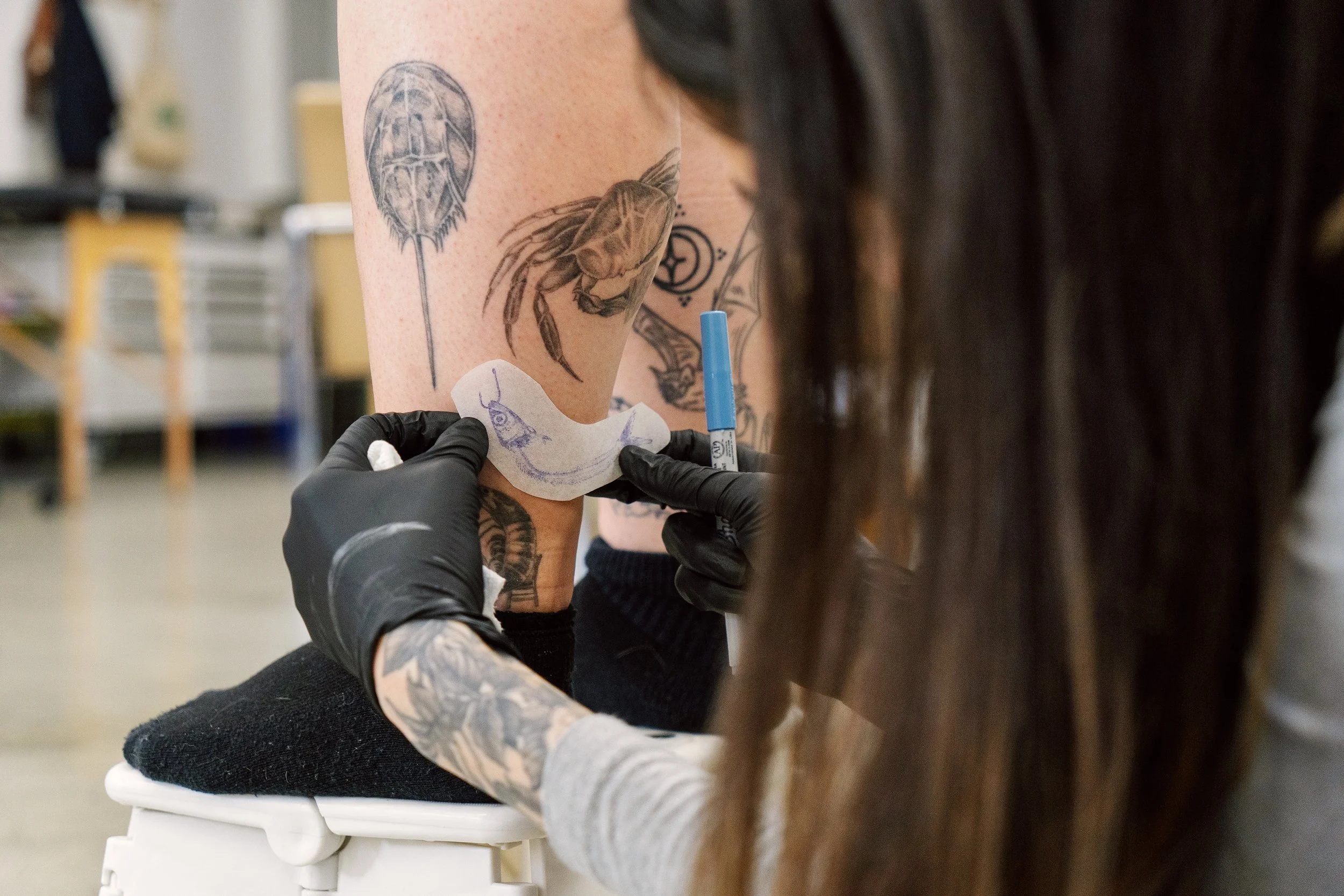 A woman wearing black latex gloves places a tattoo stencil on the ankle of someone with sea creature tattoos.