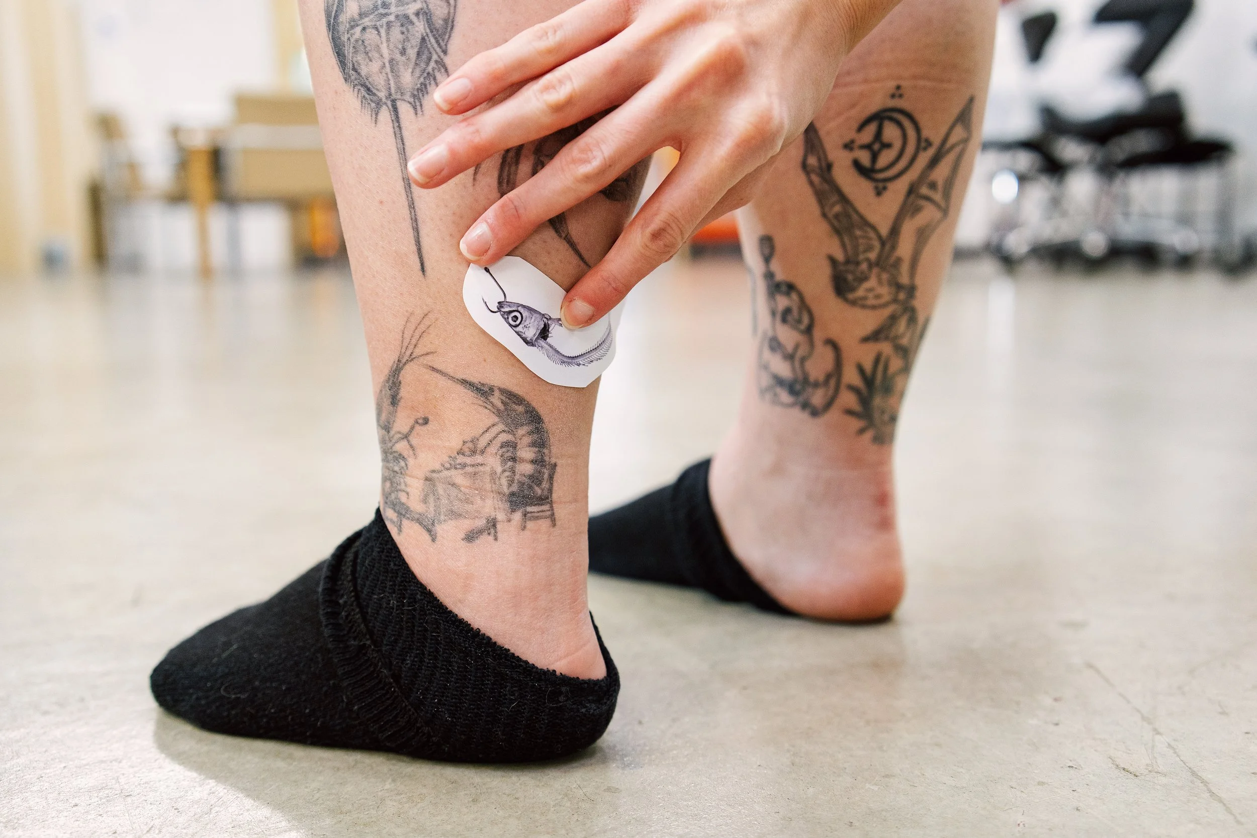 A close-up shot of a tattoo stencil being applied to a client's lower leg inside a studio.