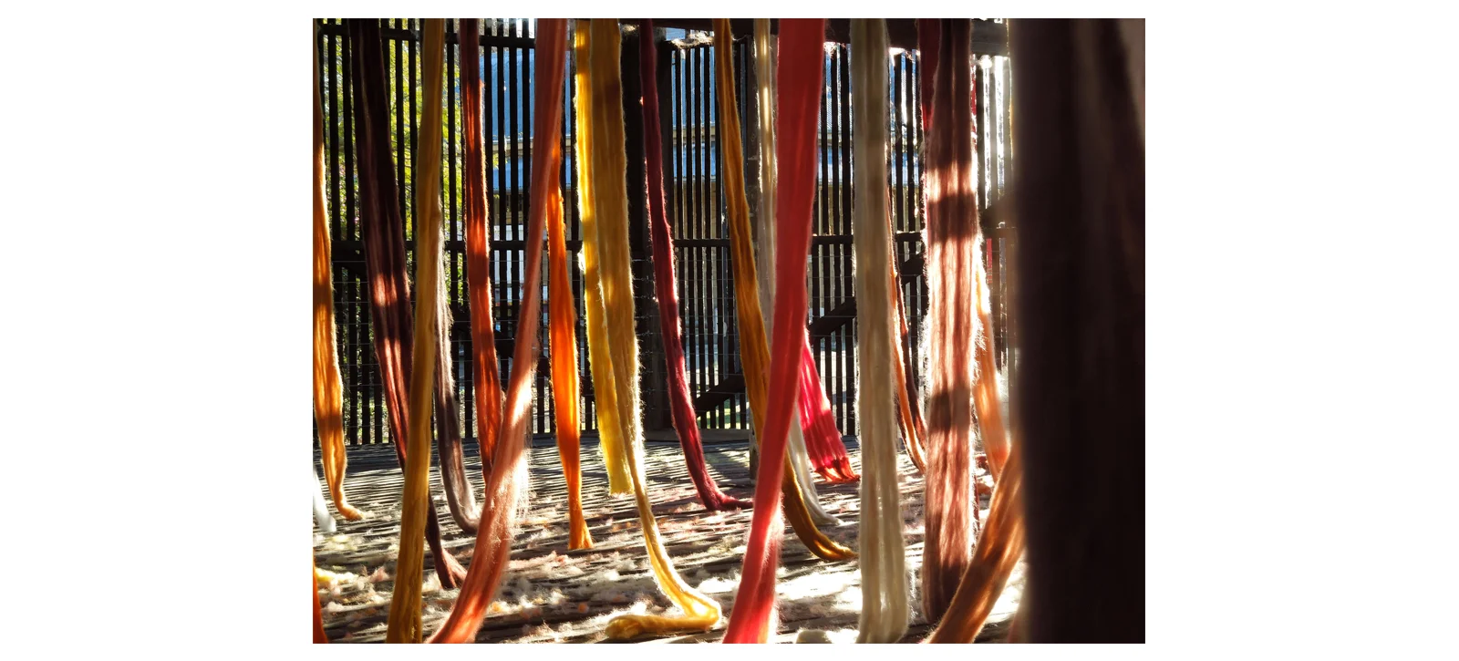 detail from Quipu Austral (2012)