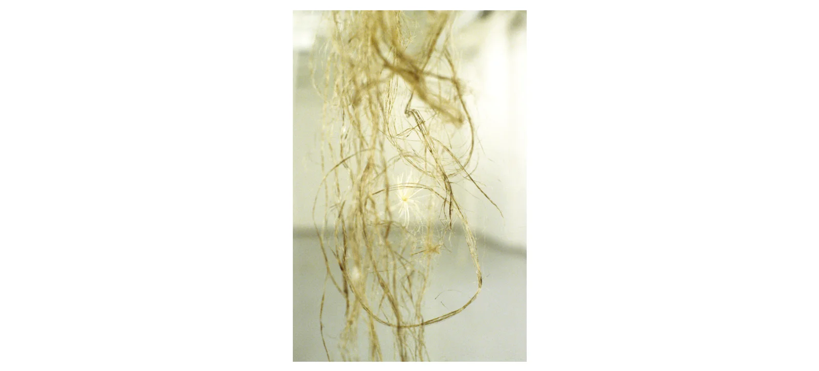 Quipu Semiyo (2000)