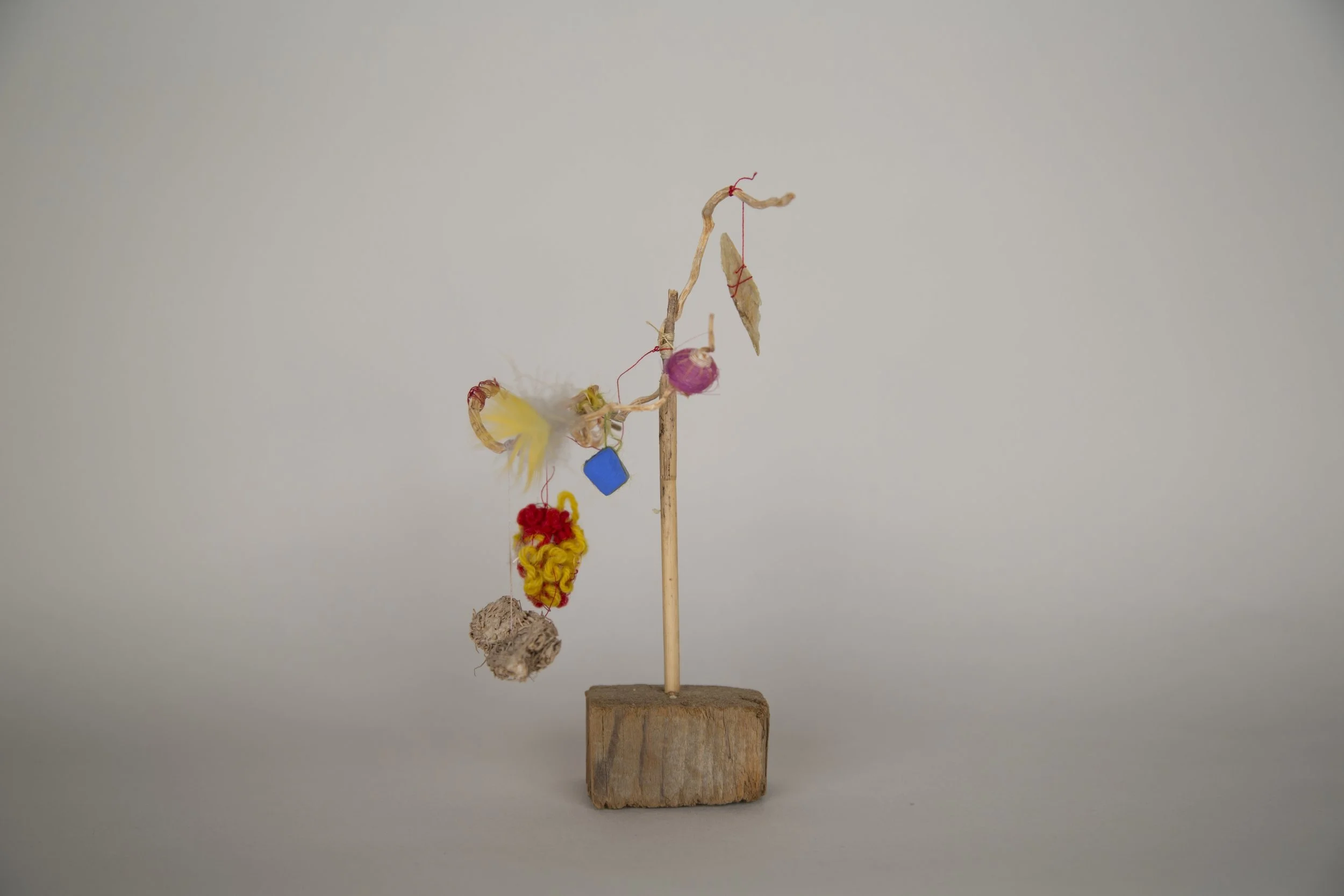 Árbol de Vida, Cecilia Vicuña, 1983