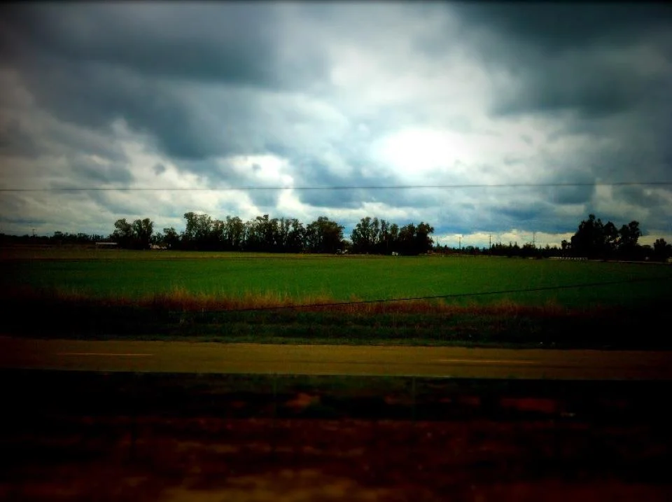 field.jpg