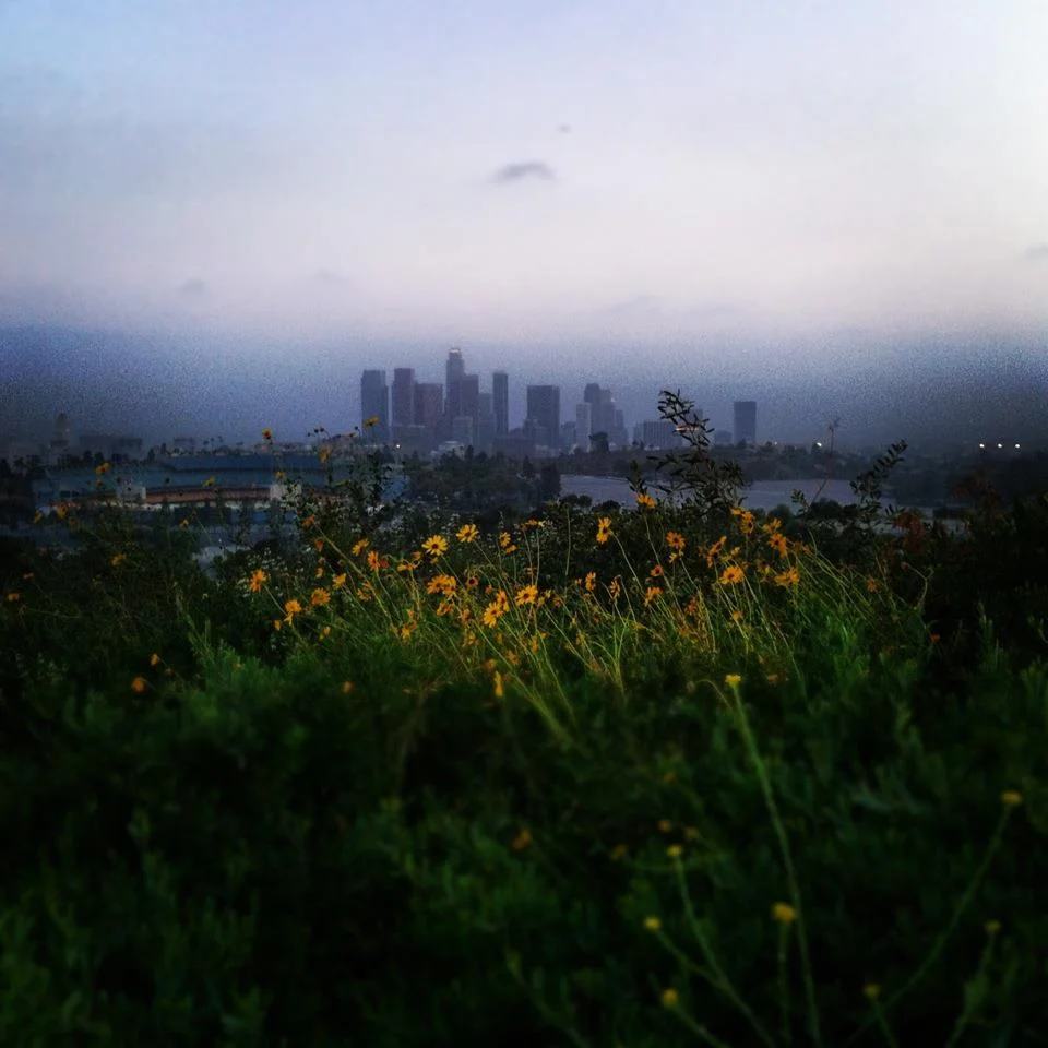 LA.jpg