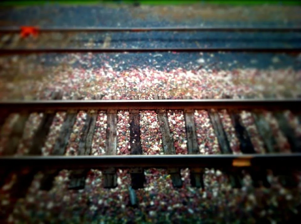 track2.jpg