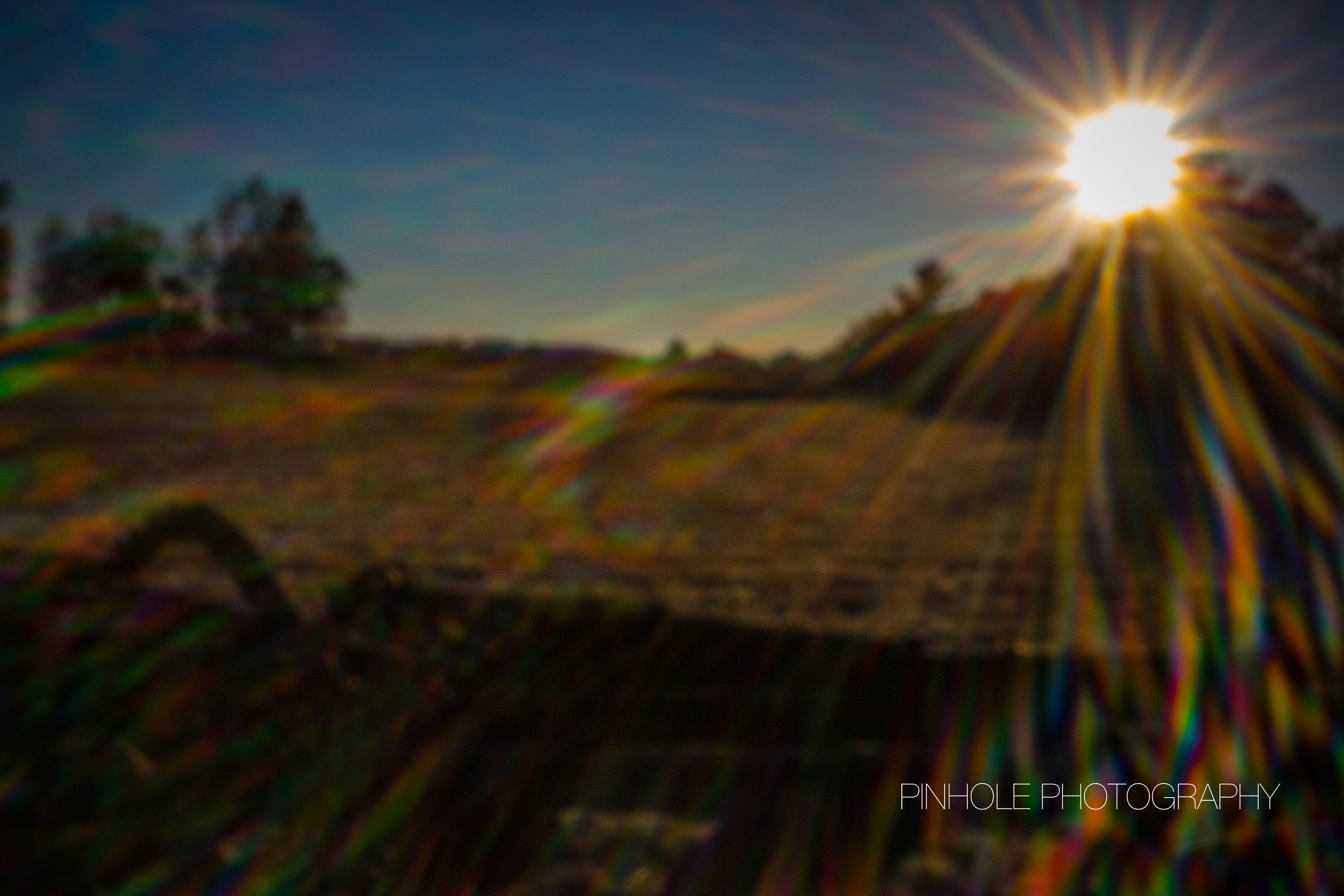 MR2A0702.jpg