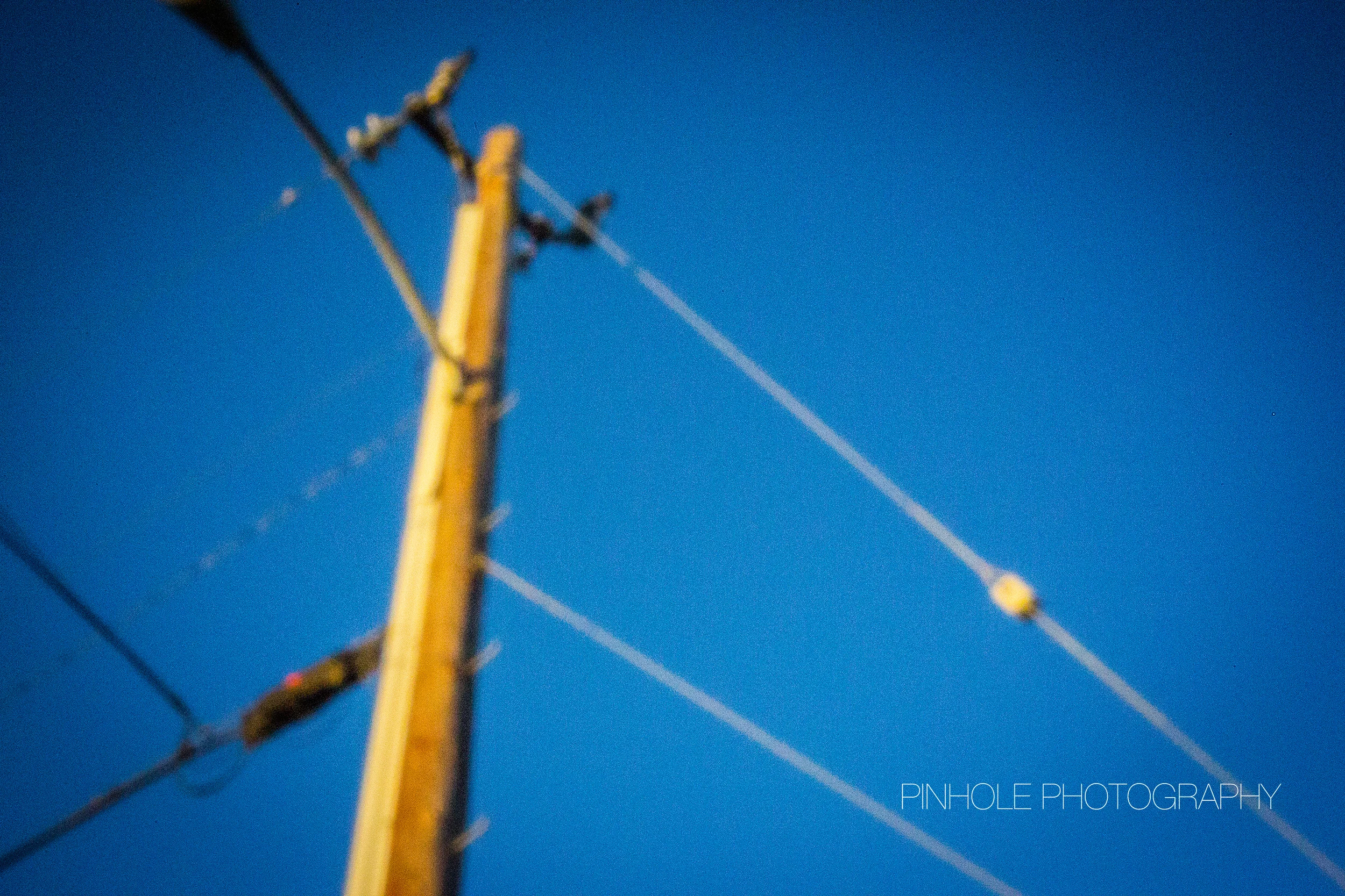 MR2A0778.jpg
