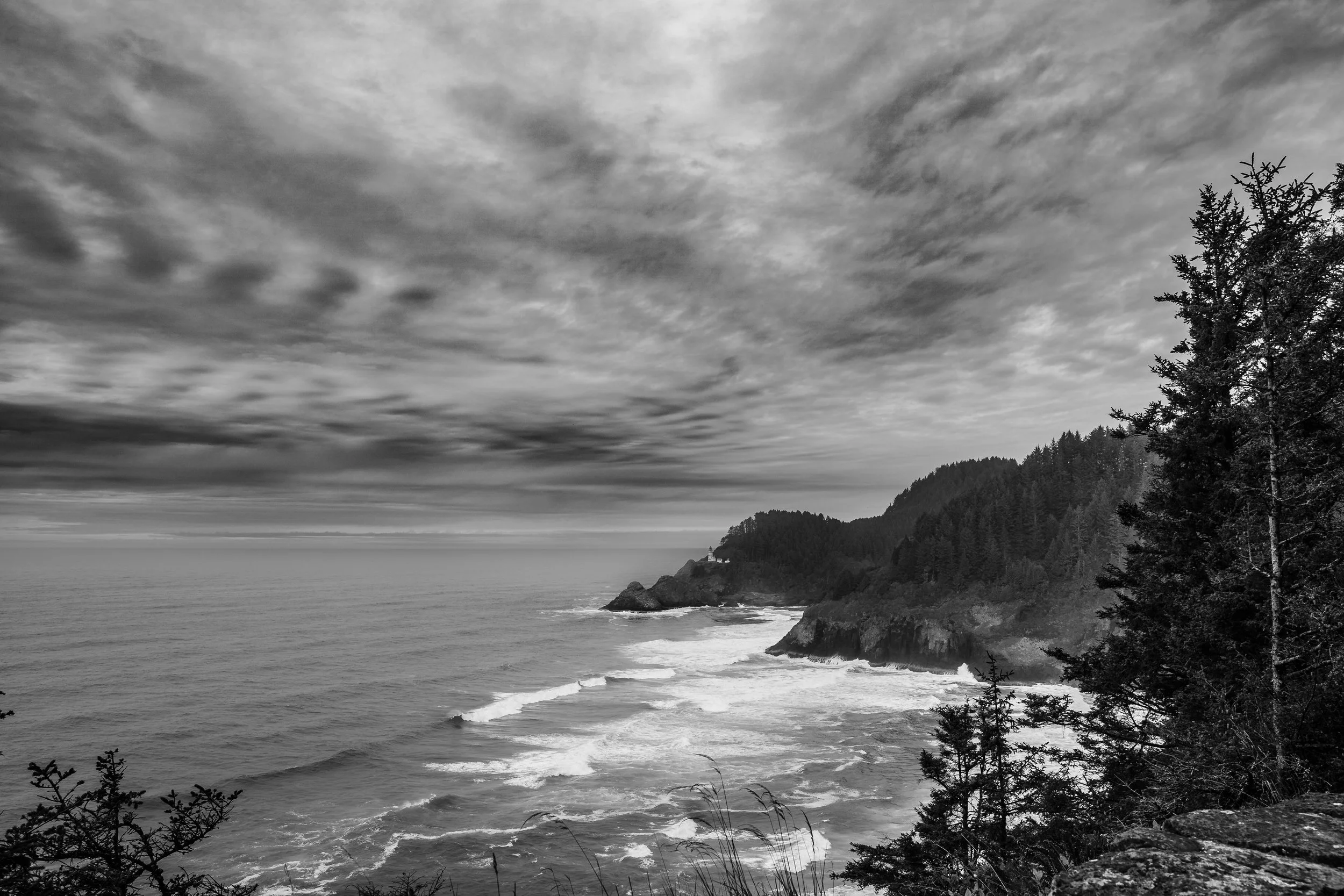 DSC09791-2.jpg