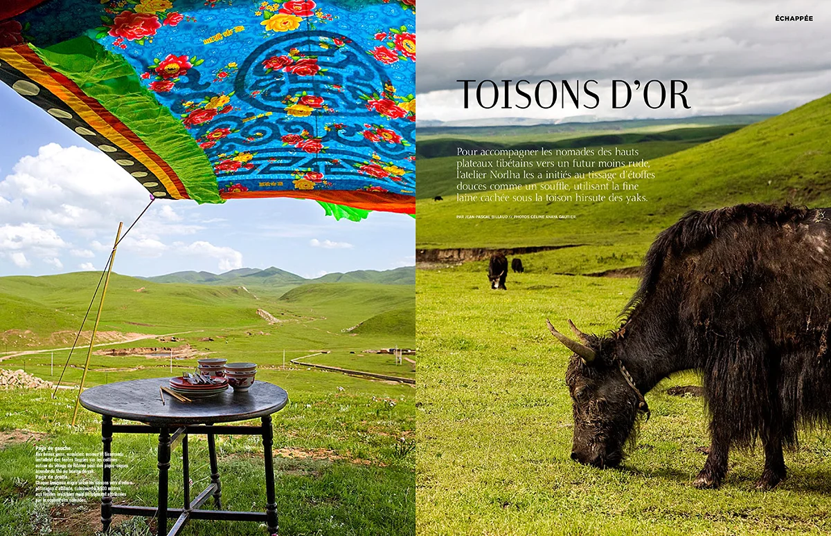 Tibet