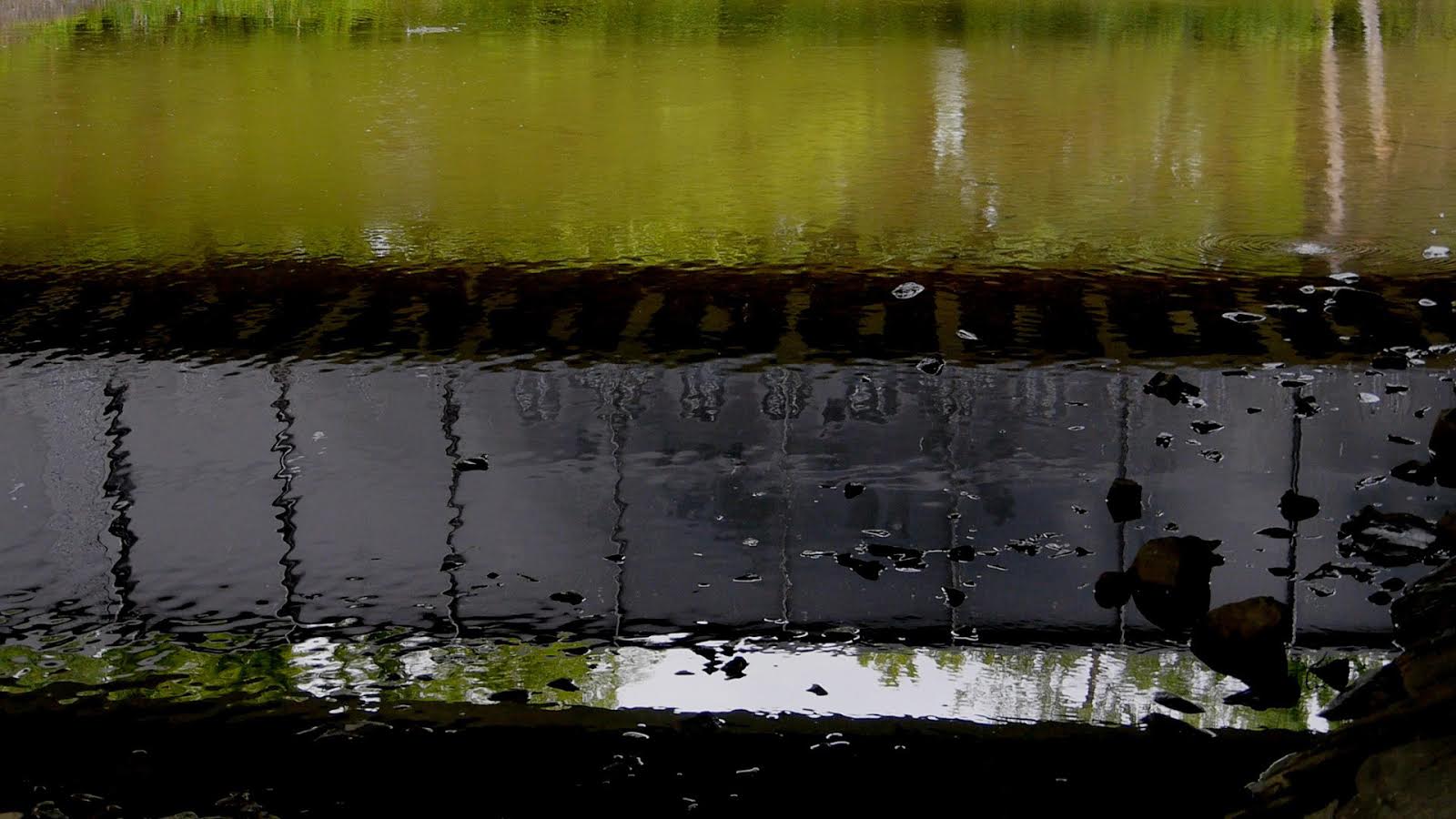 Still from “Water Color (Fall Creek)” by Vincent Grenier - Black Maria Global Insights collection
