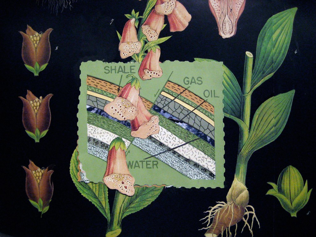 "Cut and Run", Christy Rupp