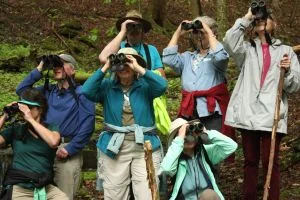 Bird Walk.jpg