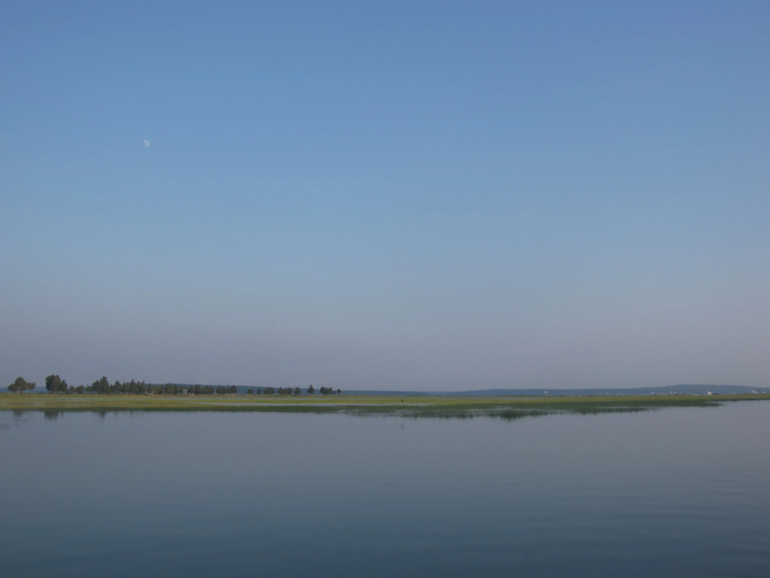 IMG_1105.JPG