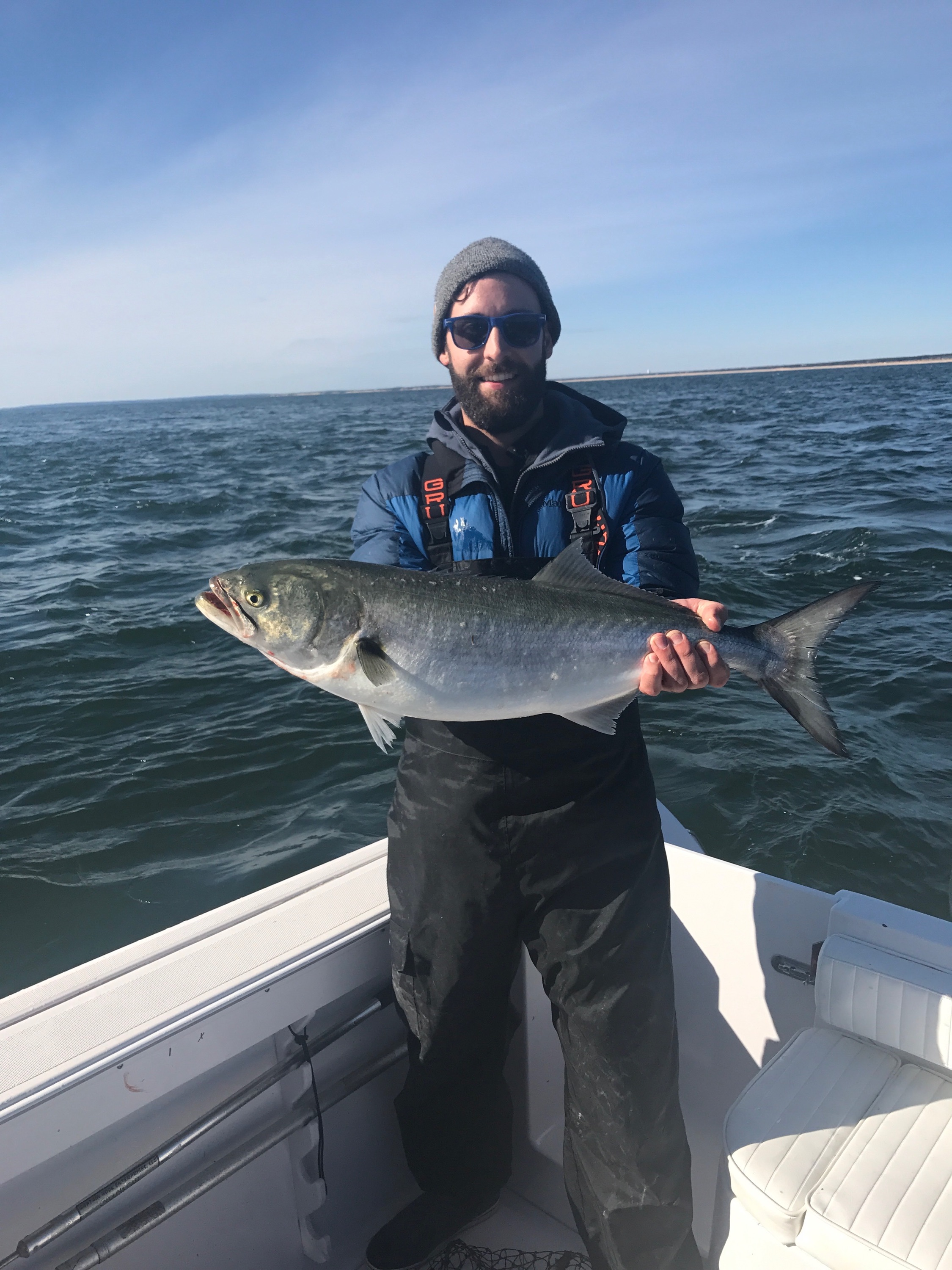Bluefish — Food Minded Fellow