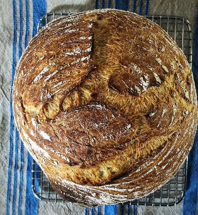 Bread seems to have brought everyone together... it&rsquo;s only fitting that food is a unifying force. Remember, now more than ever, your consumptive choices matter! .
.
.
.
.
. 
#marthasvineyard #marthasvineyardpodcast #chef  #privatechef #privatec