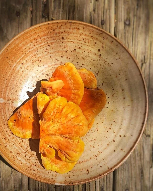 Spring chickens!!! This is the earliest I have found these delectable treats on island.... keep your eyes open, you never know what you will see. .
.
.
.
.
. 
#marthasvineyard #marthasvineyardpodcast #chef  #privatechef #privatechefmv #podcast #podca