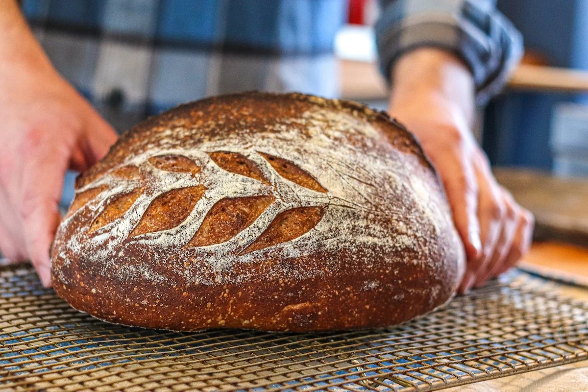 Gavin Smith_Food_Minded_Fellow_Sourdough_Bread.JPG