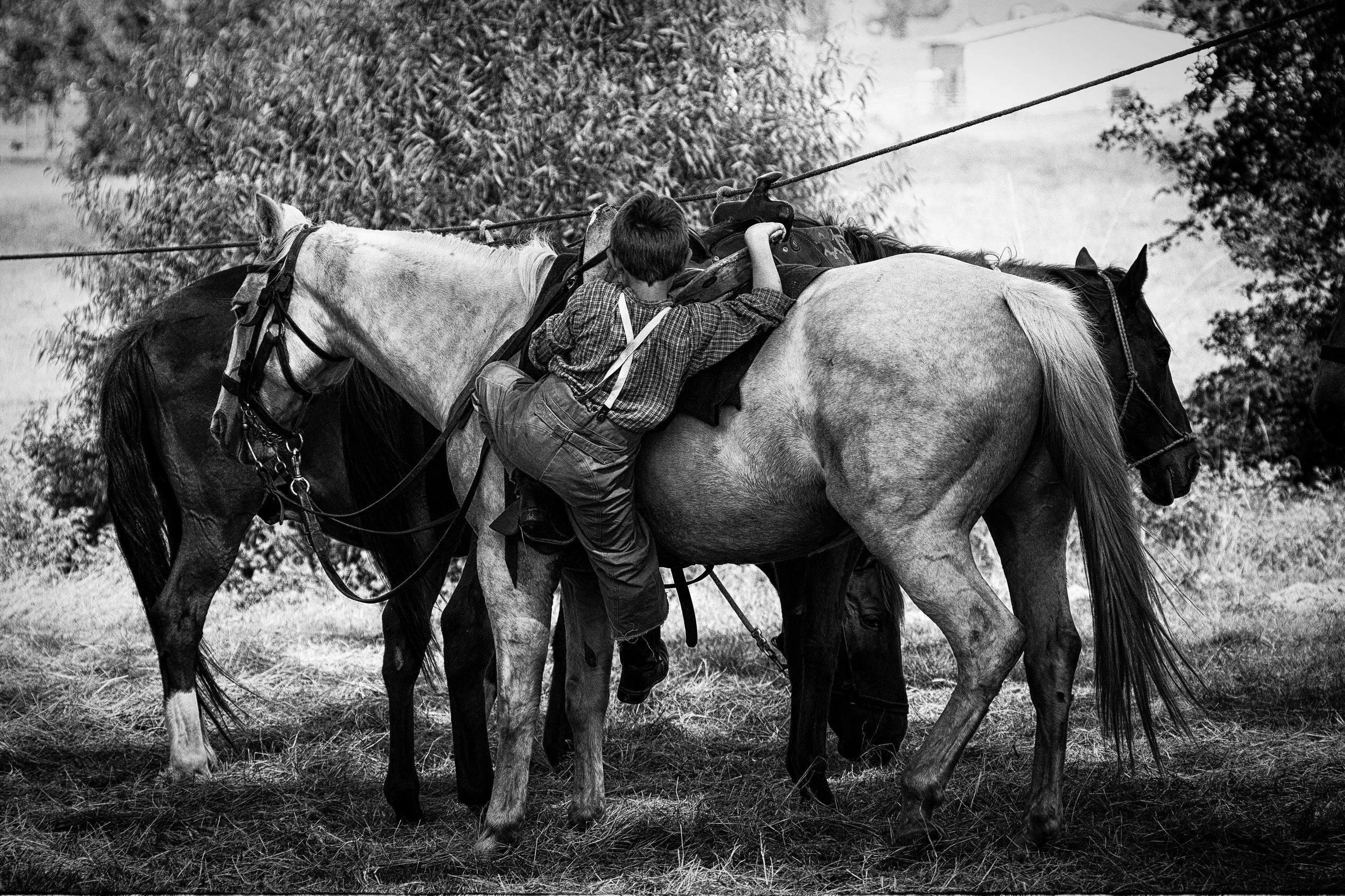 DOH_9408-Edit-Edit.jpg