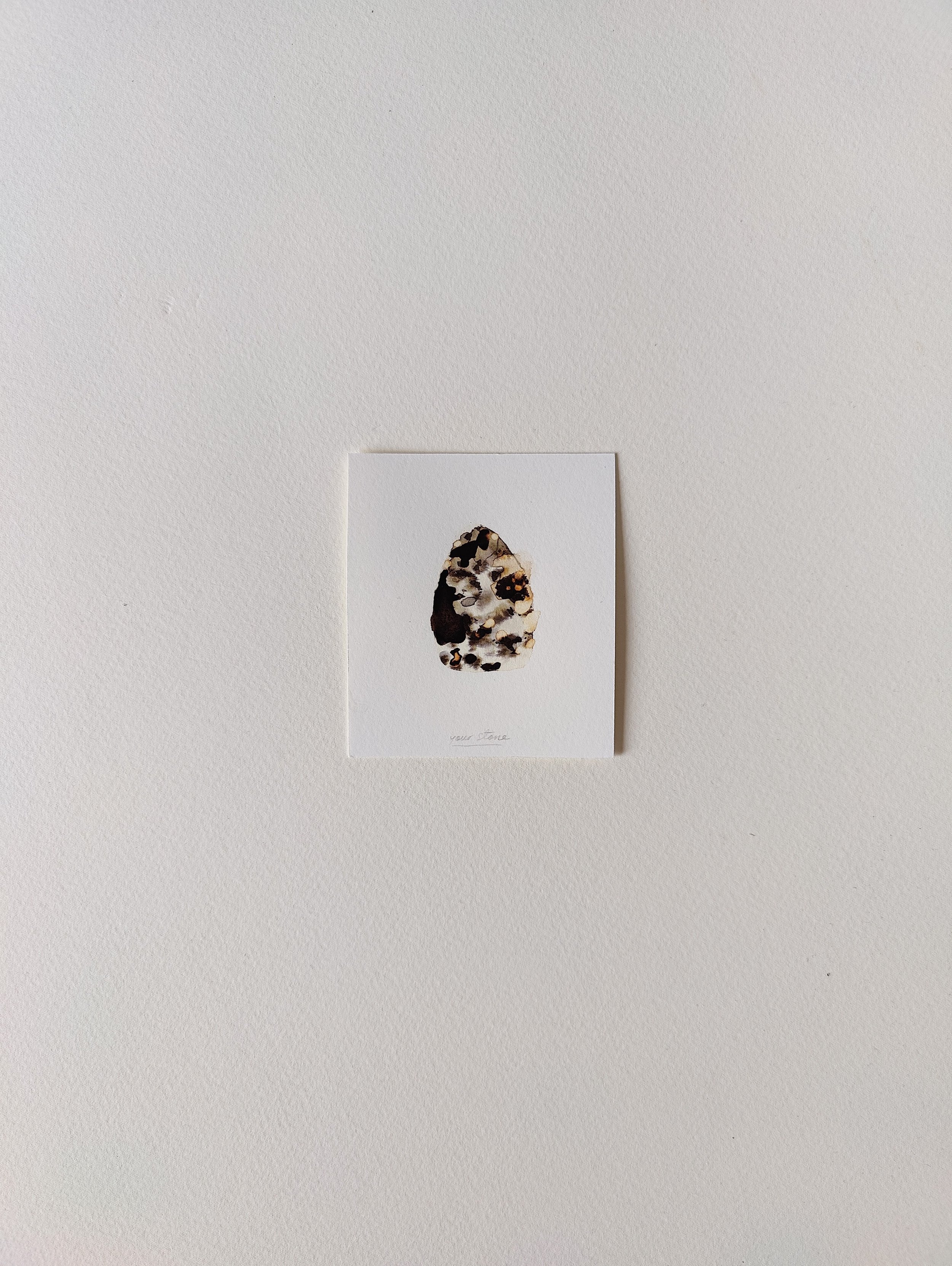 IMG20260531090858.jpg