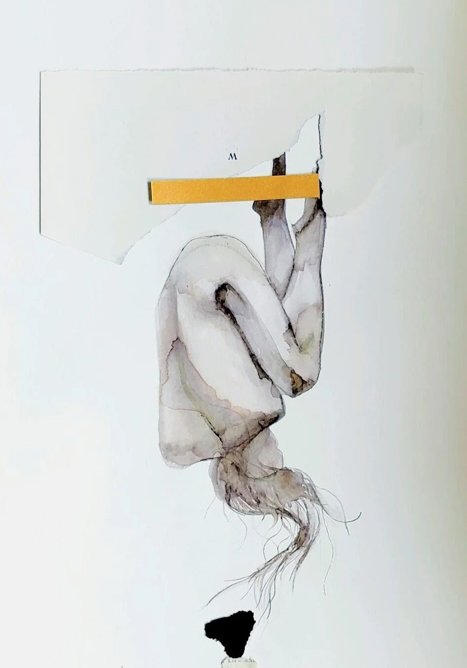 IMG20250220100339~3.jpg