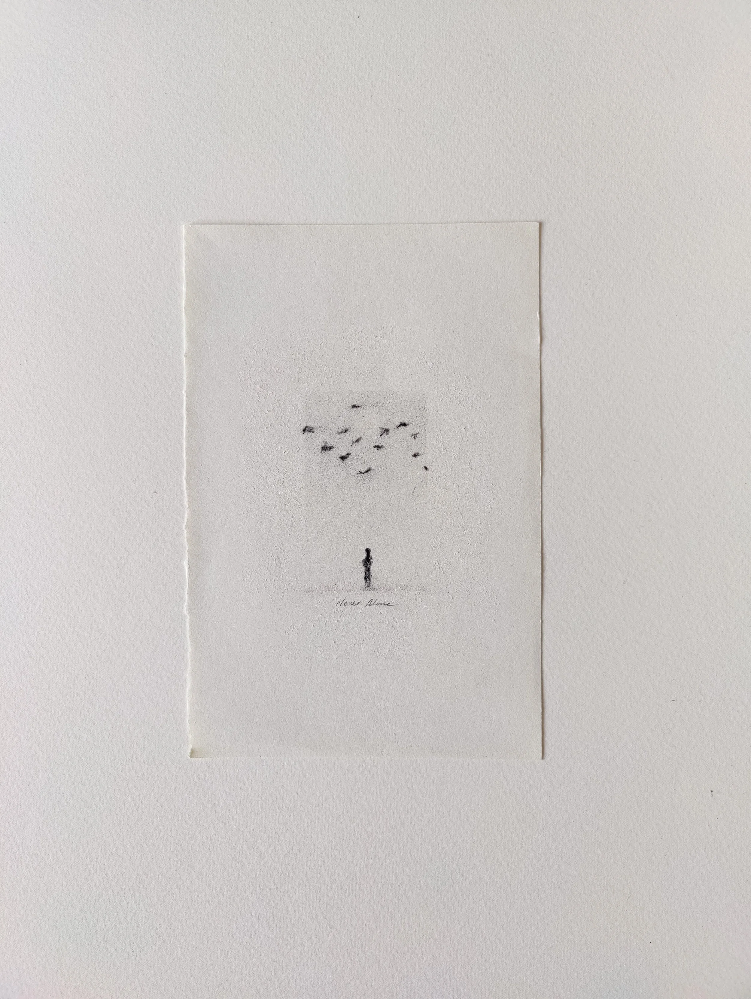 IMG20260531090716.jpg