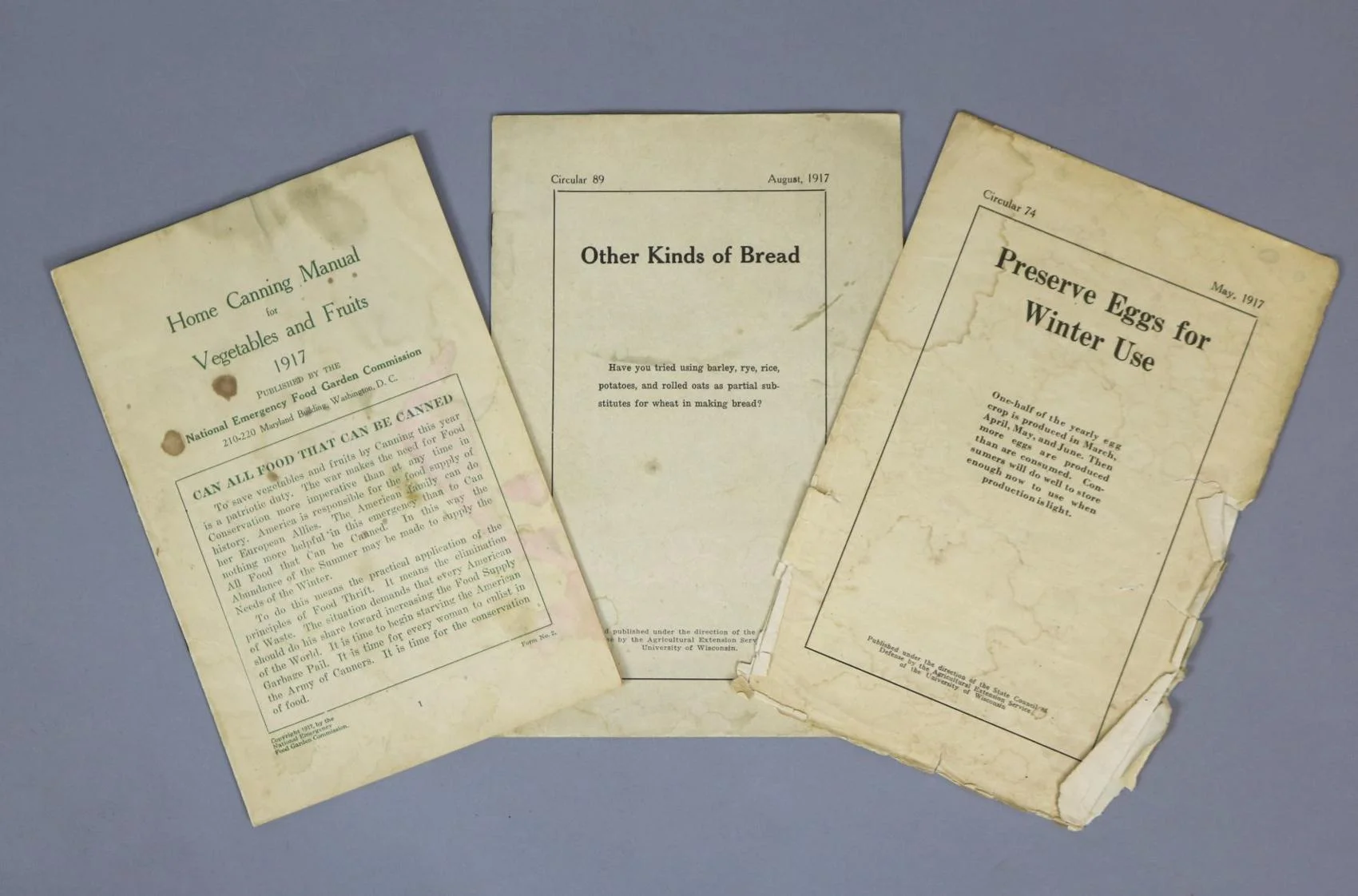 Copyright La Crosse County Historical Society